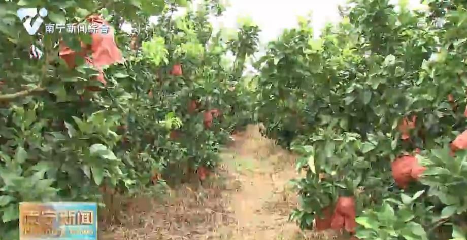 筑牢防贫堤坝 巩固脱贫成效 为我市高质量打赢脱贫攻坚战作出更大贡献