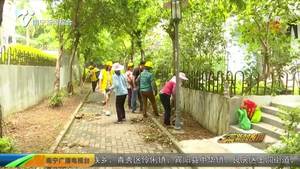 【创建全国文明城市】清除小区死角 共同守护城市文明