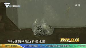 【创建全国文明城市】遛狗不牵绳随地弃狗粪 多位市民现场“吃罚单”