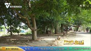 【创建全国文明城市】加强无物业小区监管 营造干净整洁卫生环境