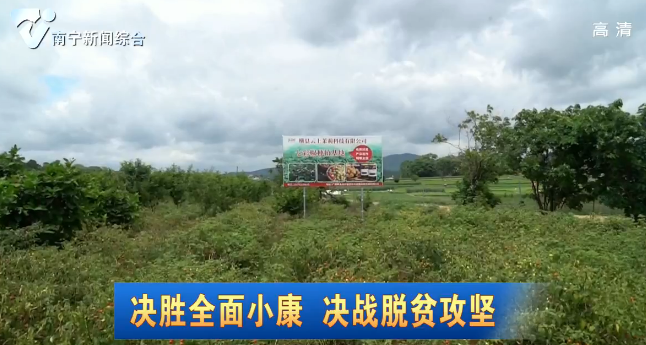 【决胜全面小康 决战脱贫攻坚】完善农村电商服务体系 推动首府县域经济发展