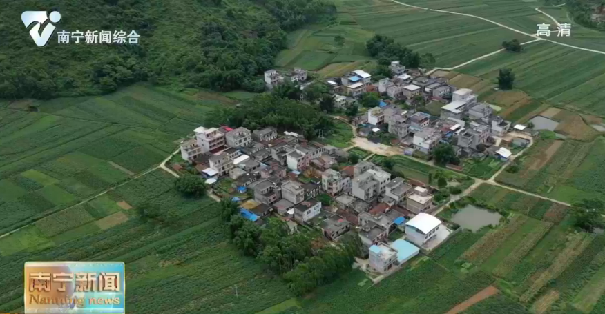 【决胜全面小康　决战脱贫攻坚】持之以恒壮产业稳就业 提高脱贫质量巩固脱贫成果