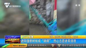 南宁正能量   遮阳篷断树枝成“路障”   热心志愿者帮清理