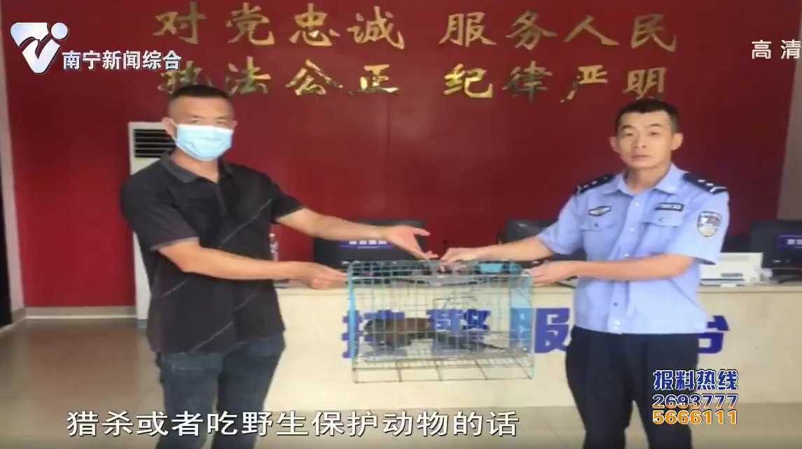 【创建全国文明城市】警民联合救助国家二级保护动物“红毛鸡”