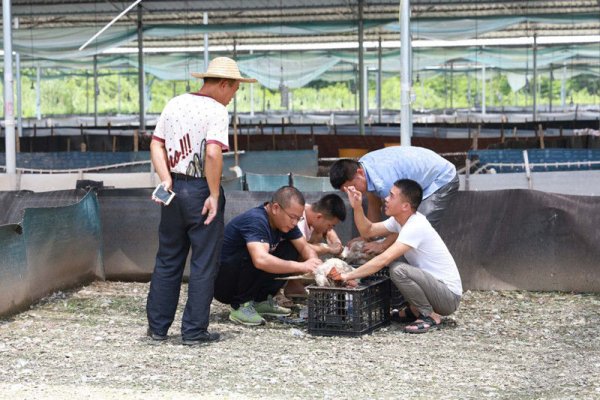 千名記者一線行 | 帶領大家脫貧致富，他們這樣努力著！