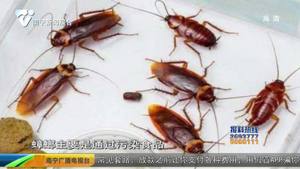 【创建全国文明城市】万户家庭除“四害” 我们在行动