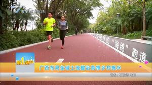 广西布局全域土地整治助推乡村振兴