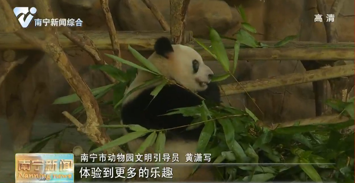 【创建全国文明城市 整改提升看变化】打造文明旅游景区 展现文明城市形象