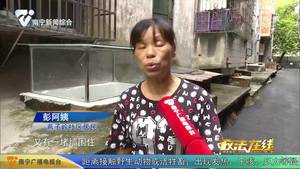 创建全国文明城市 创城换来文明小区 居民个个都说好