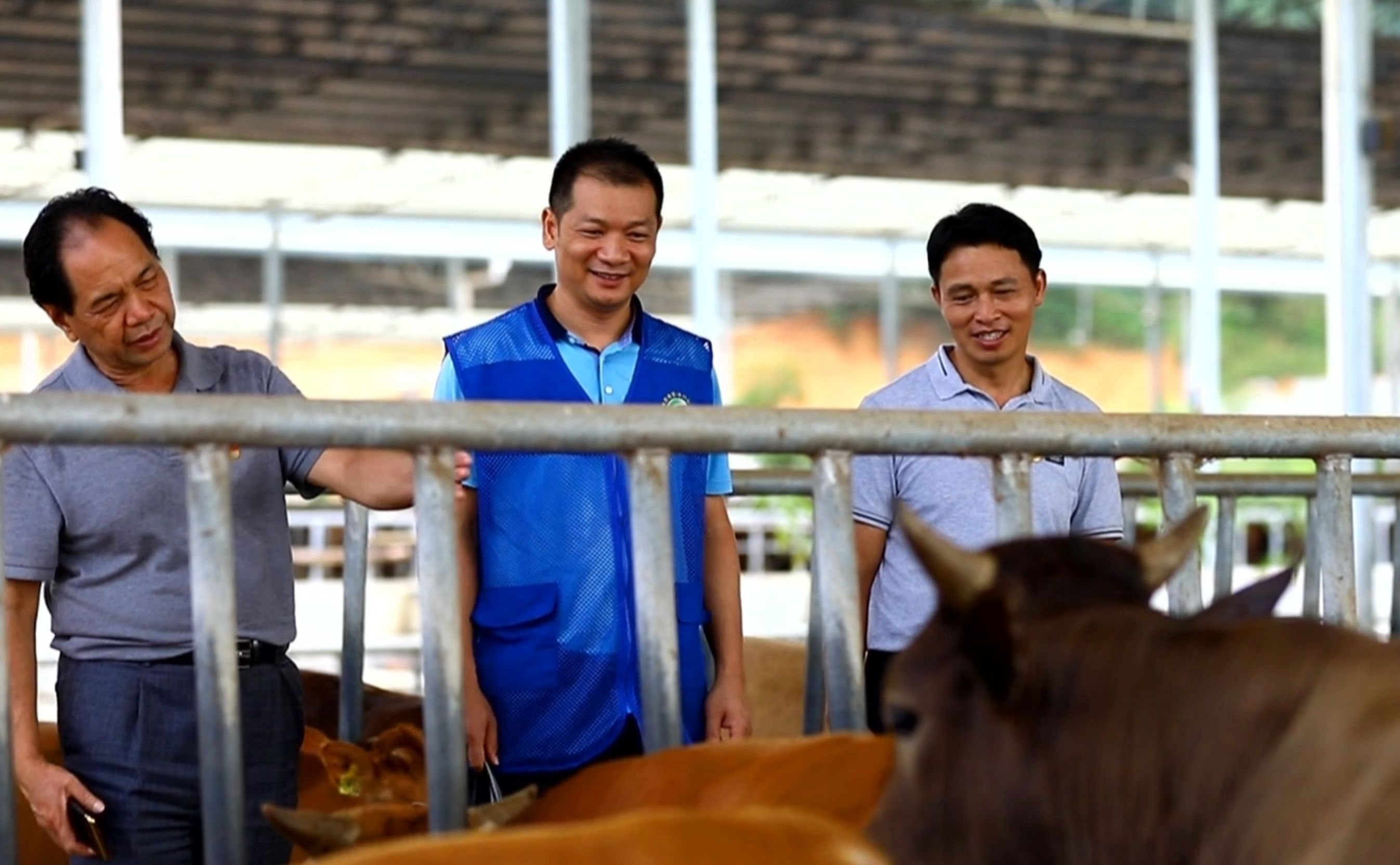 专题节目《奋斗》——第一书记的“脱贫方程式”