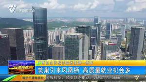 【广西自由贸易试验区挂牌一周年】筑巢引来凤凰栖 高质量就业机会多