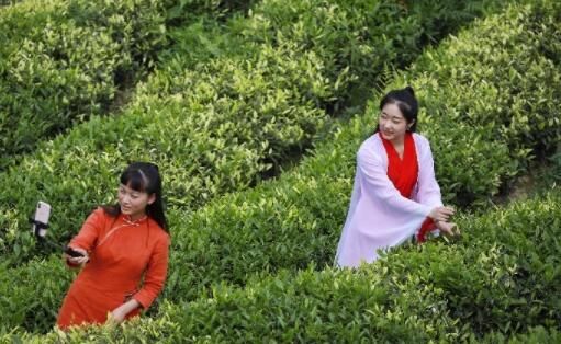 “转正”“转型”“转强”——透视2020中国经济运行高频词