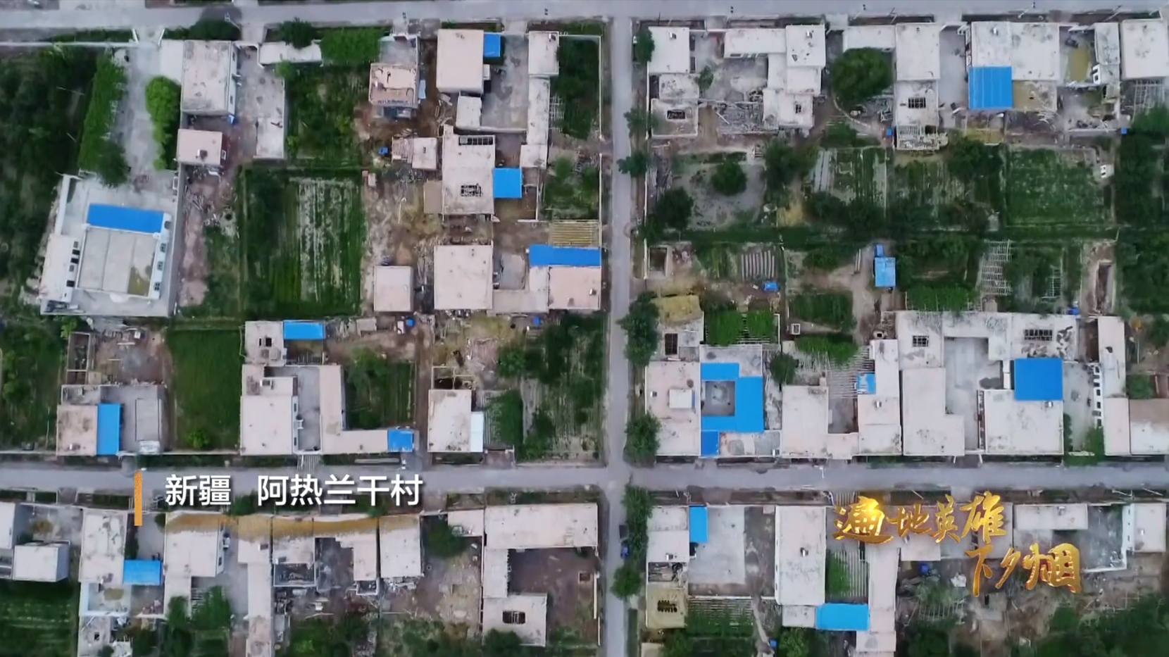 《遍地英雄下夕烟》第五集 安身立本