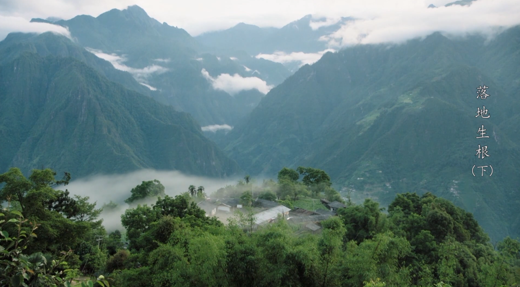 《落地生根》 下