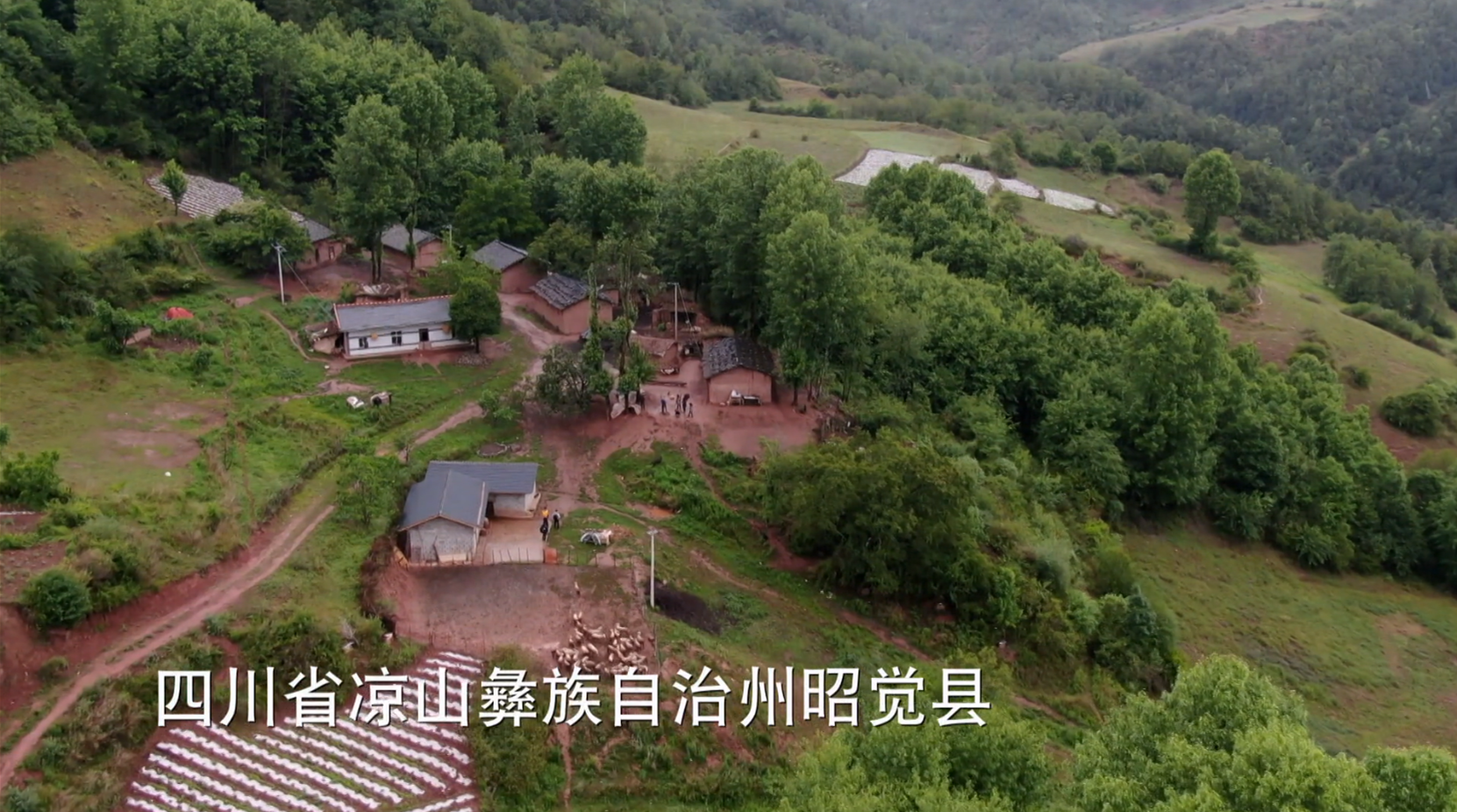 《攻坚日记》 洛古有伍的心结5