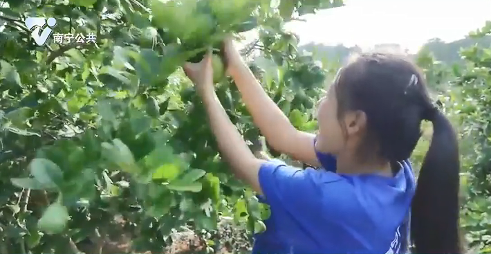 少儿真人秀《向往的童年》--走进好江南农庄