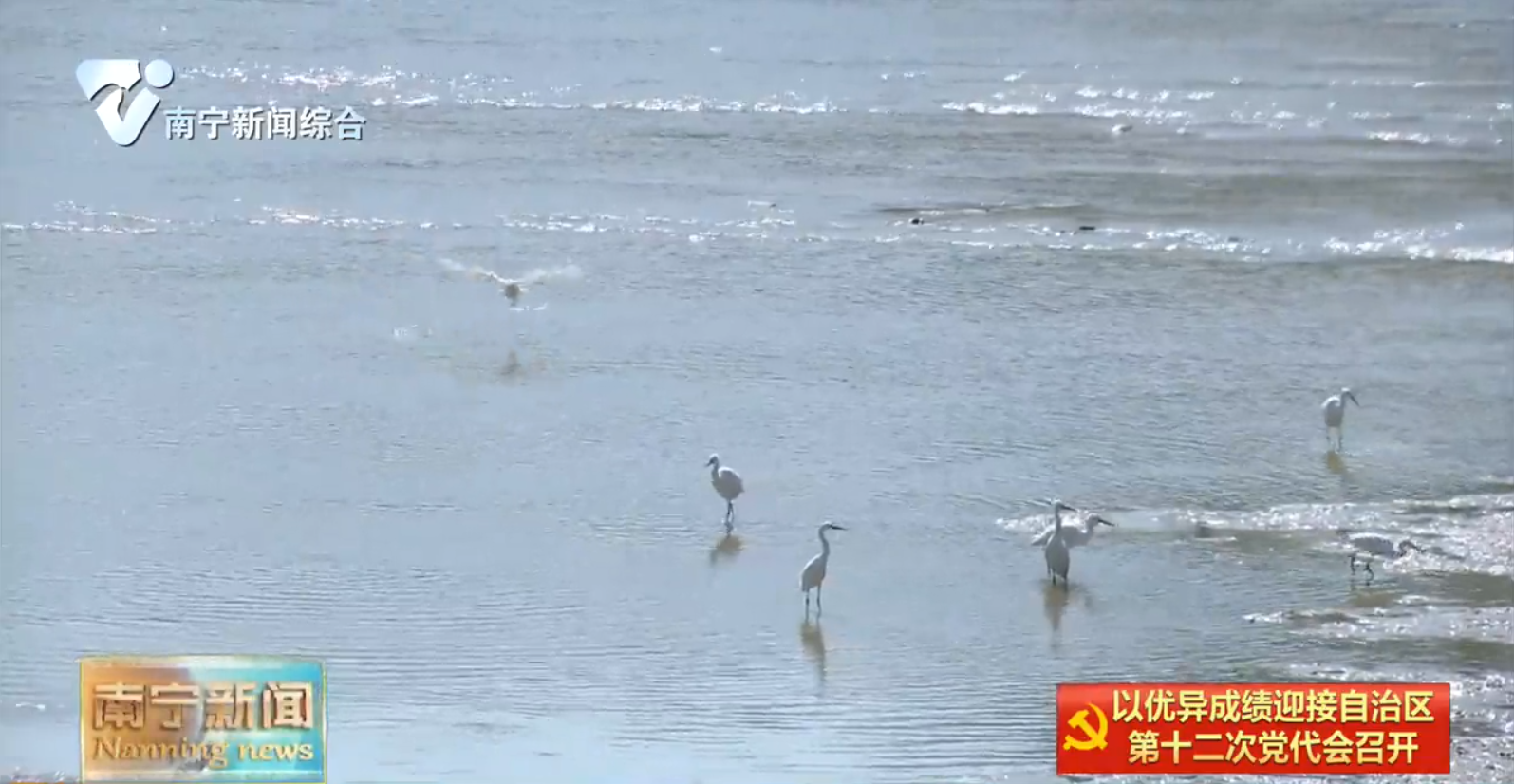 水清岸绿生活美 人居生态两相宜