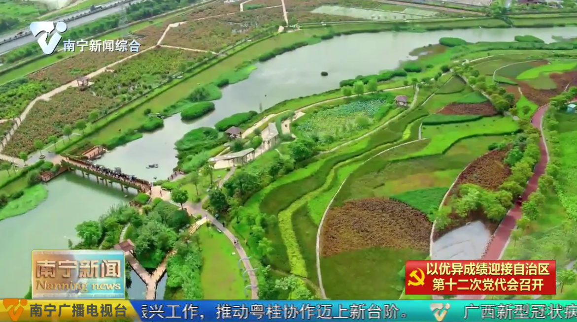 南宁：聚力高质量 勇当排头兵