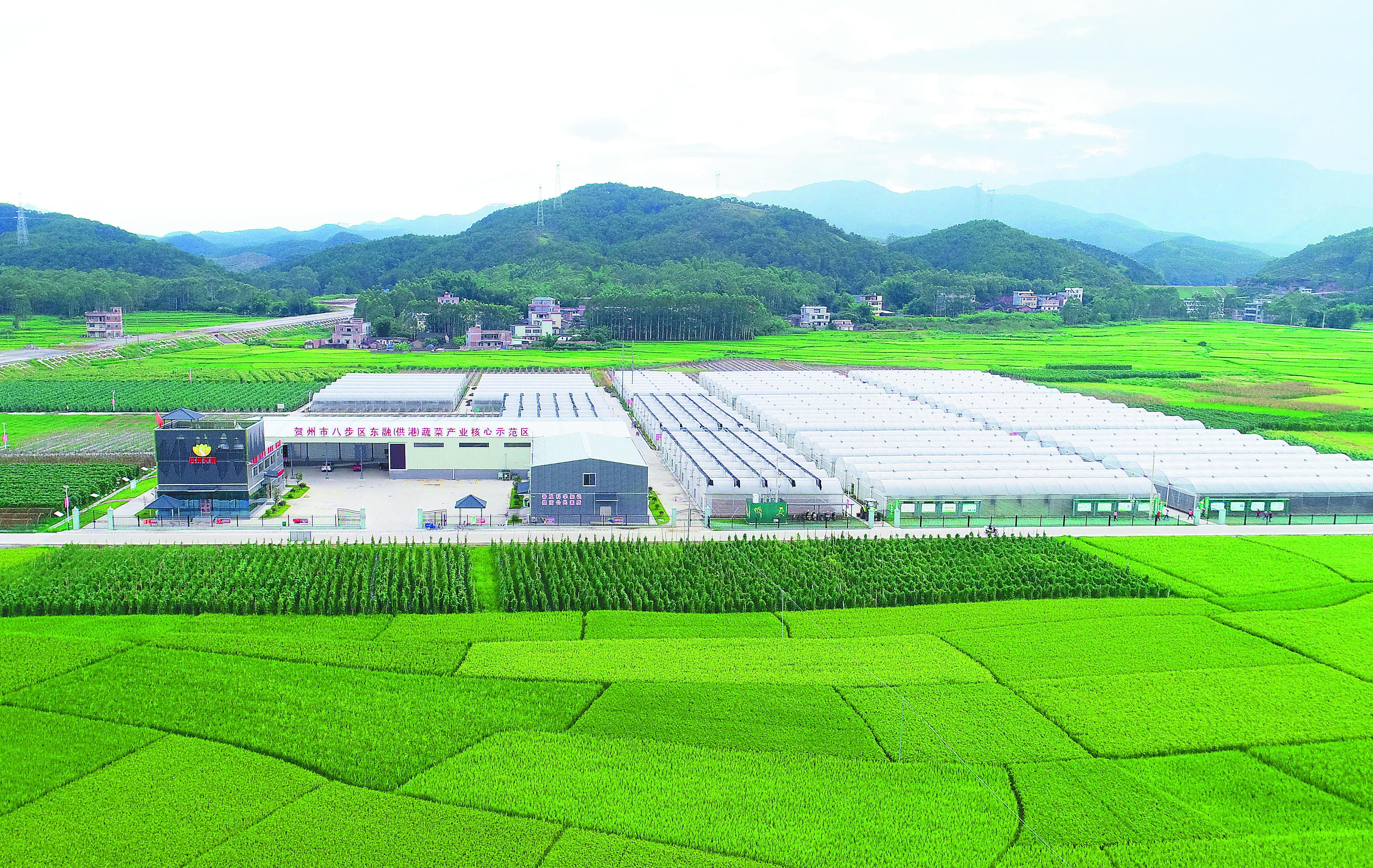 贺州市：全力借“东风” 跑出“加速度”