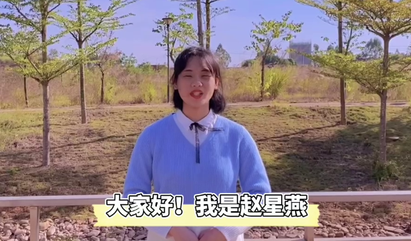 赵星燕（南宁师范大学）