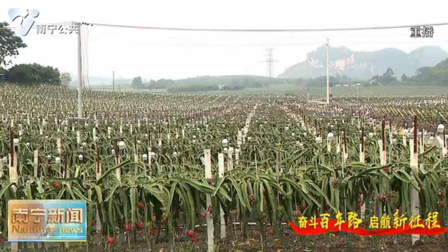 大力弘扬伟大脱贫攻坚精神  ——习近平总书记在全国脱贫攻坚总结表彰大会上的重要讲话在我市干部群众中引起热烈反响