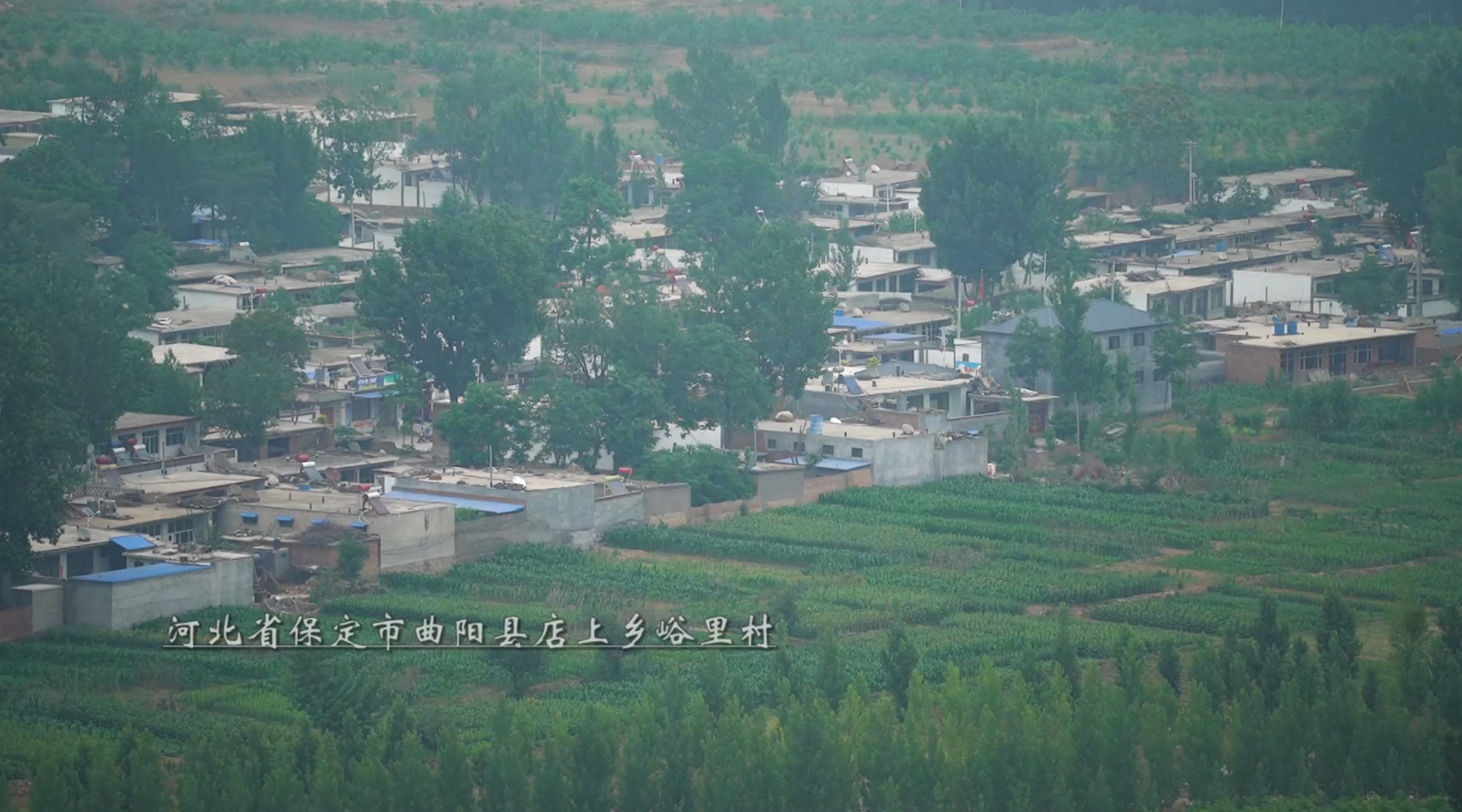 《脱贫在行动》 2变薄的账本