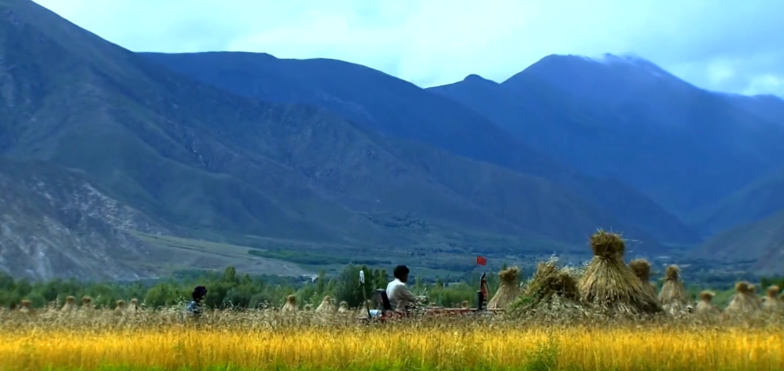 《脱贫在行动》 4田野新动力