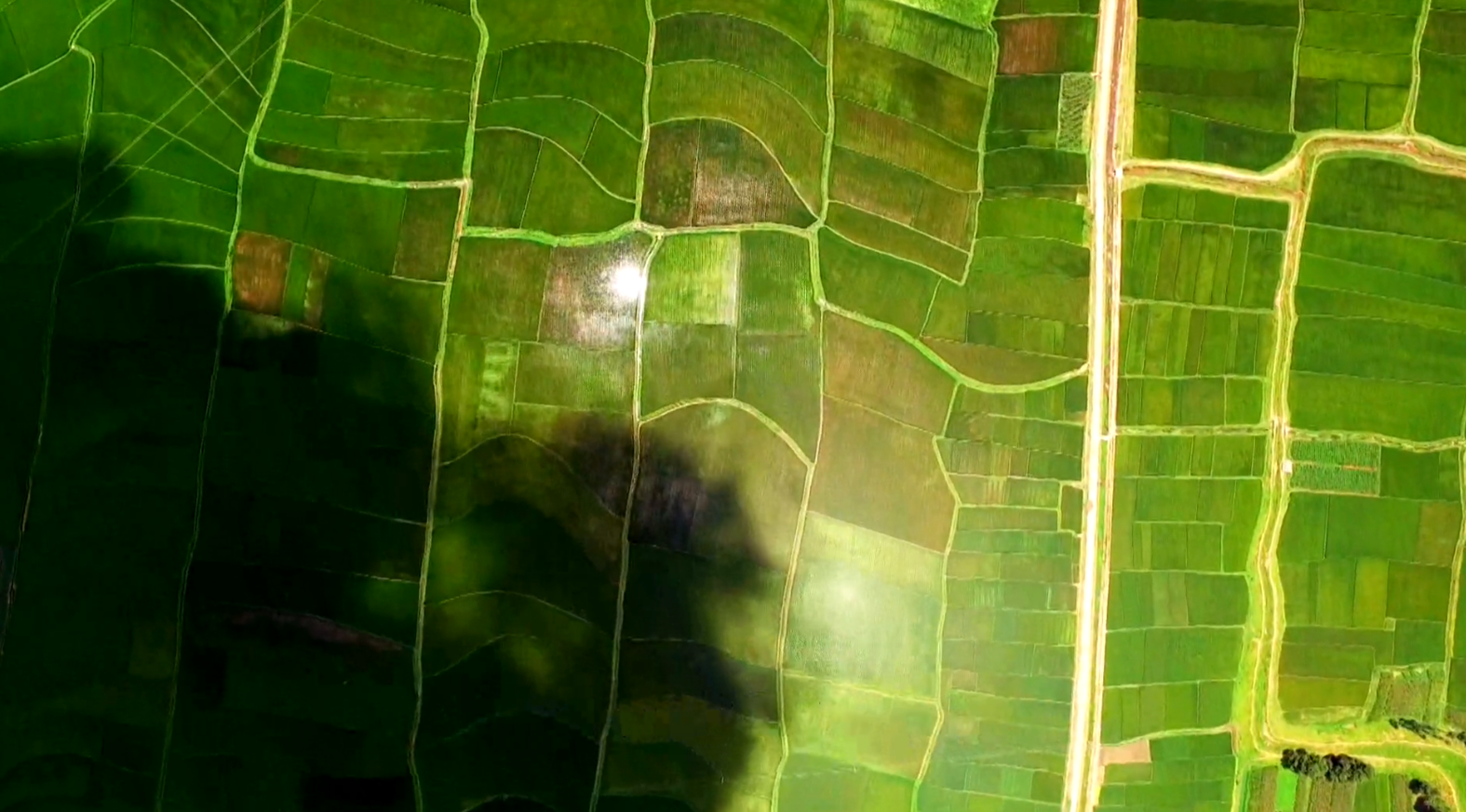 《脱贫在行动》 6决战贫困