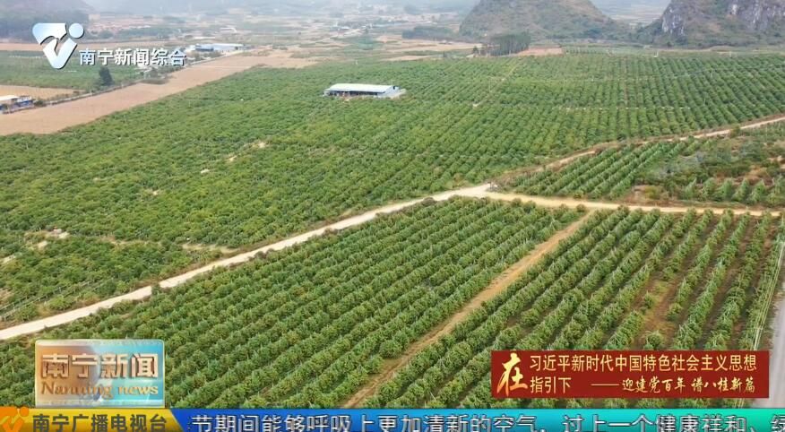 【在习近平新时代中国特色社会主义思想指引下——迎建党百年 谱八桂新篇】2020年全市经济运行实现稳中有进稳中提质 GDP增长3.7% 规上工业总产值和增加值双提升