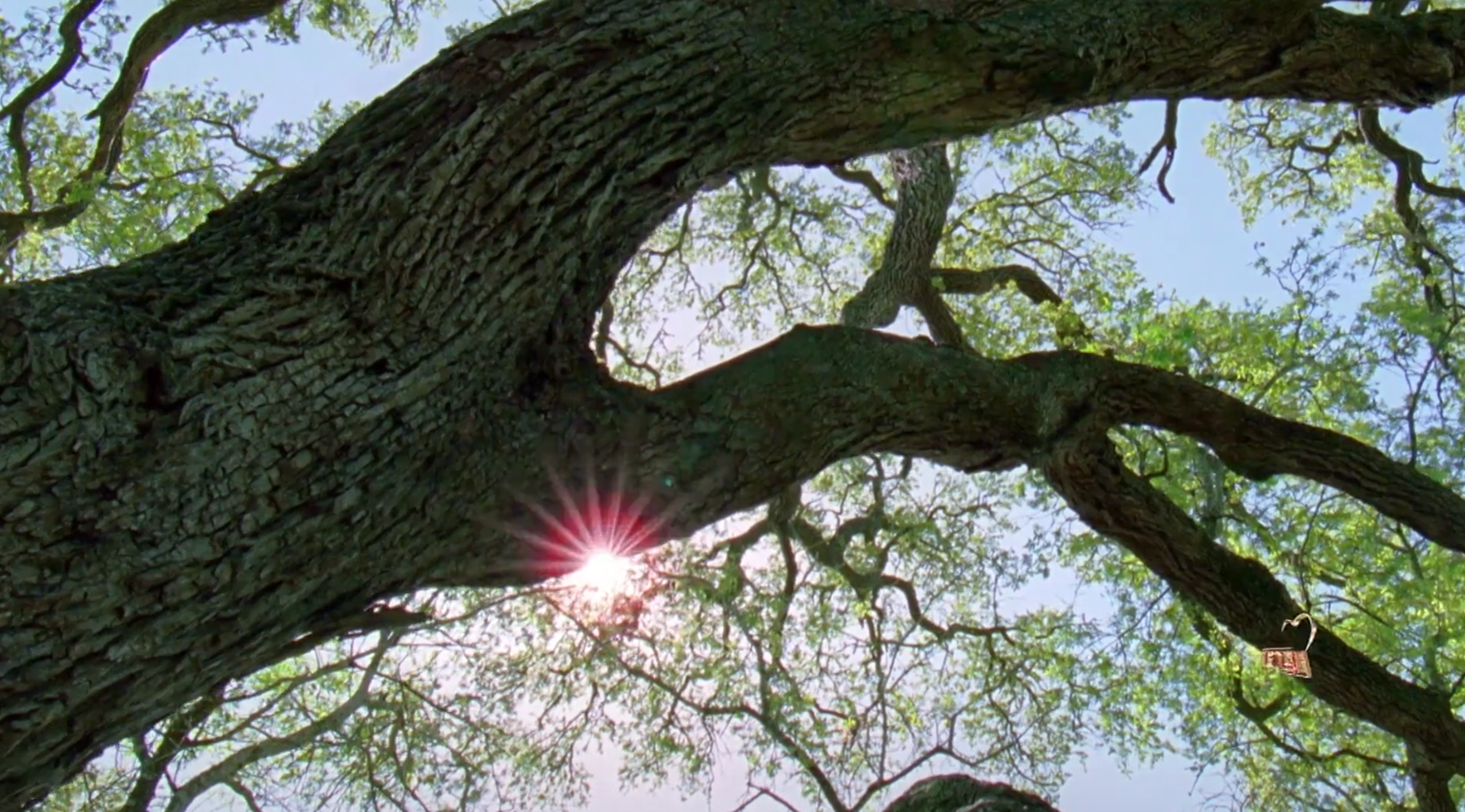 《加油脱贫攻坚》第四集 为爱坚守