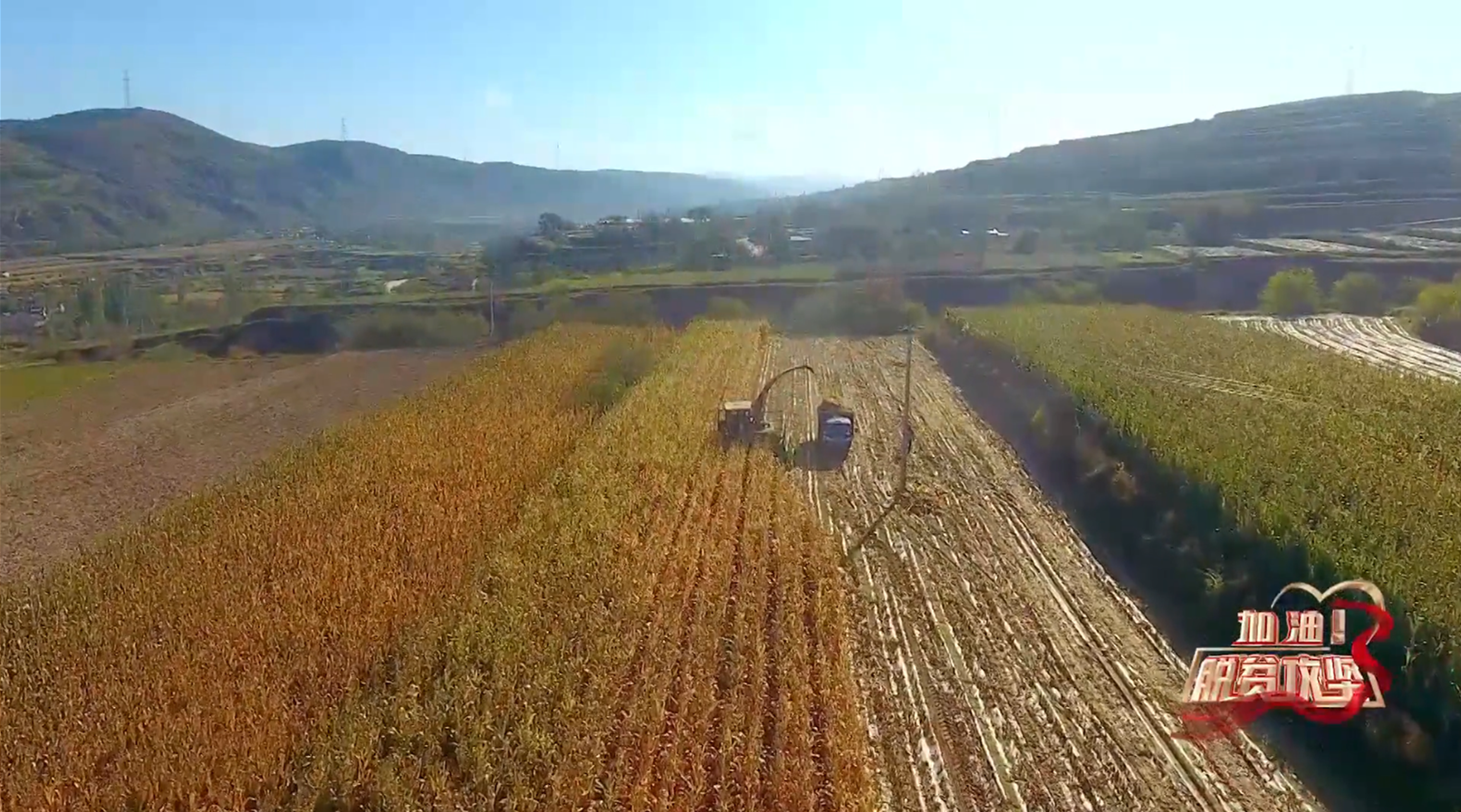 《加油脱贫攻坚》第七集 爱折腾的老支书