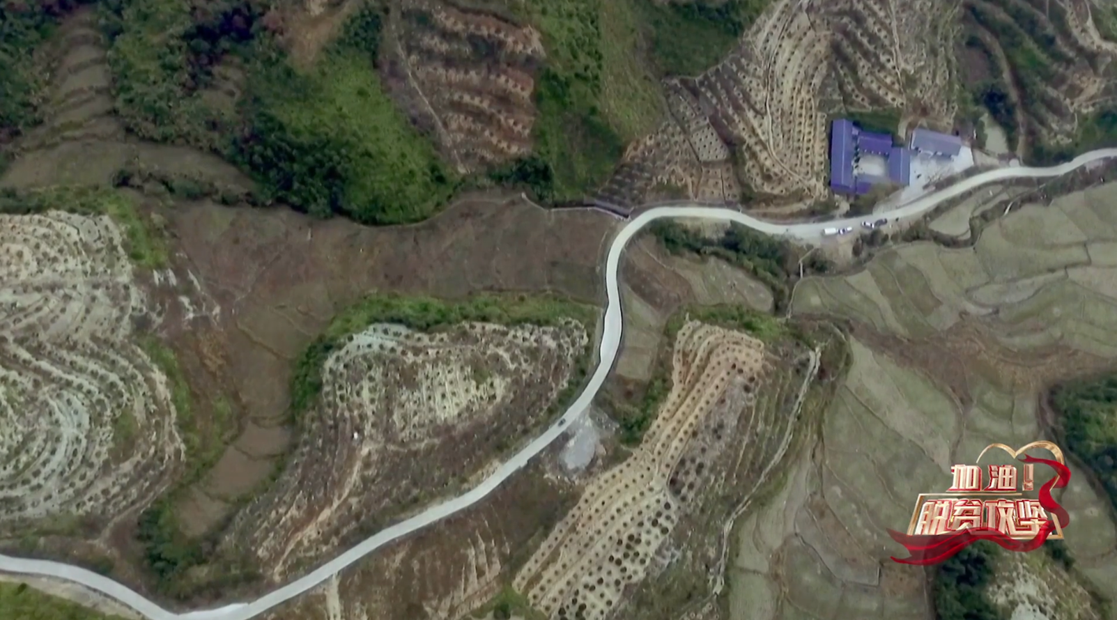 《加油脱贫攻坚》第十一集 守护