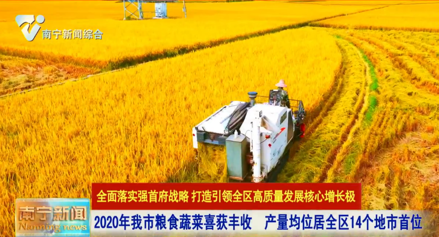 2020年南宁市粮食蔬菜喜获丰收  产量均位居全区14个地市首位