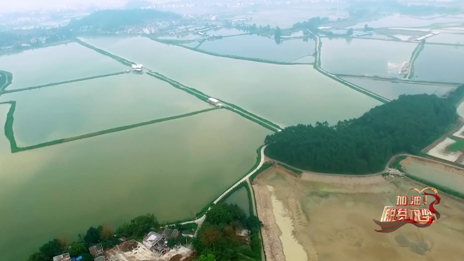 《加油脱贫攻坚》第二十一集 情满扶贫路