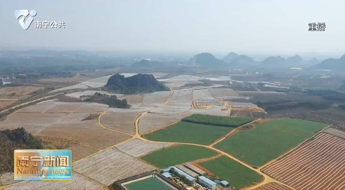 抢抓农时春耕春种  科技赋能增产增收