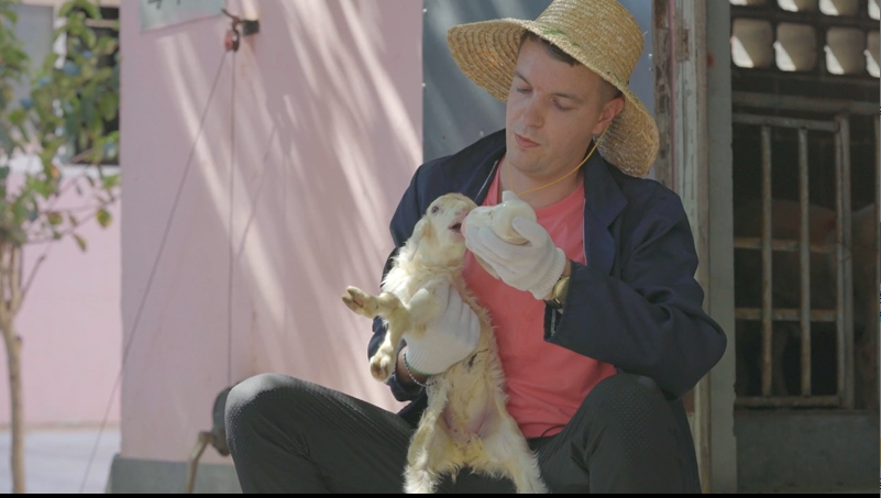 《英国小哥南浔养羊记：小小湖羊功劳大》