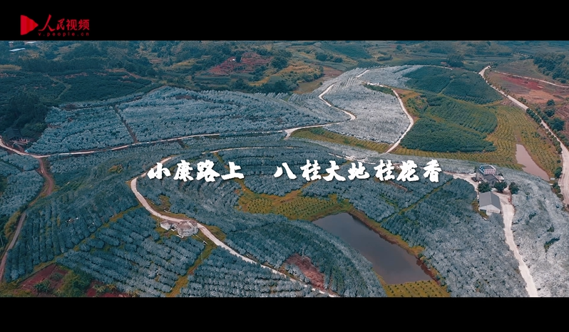 小康路上，八桂大地桂花香