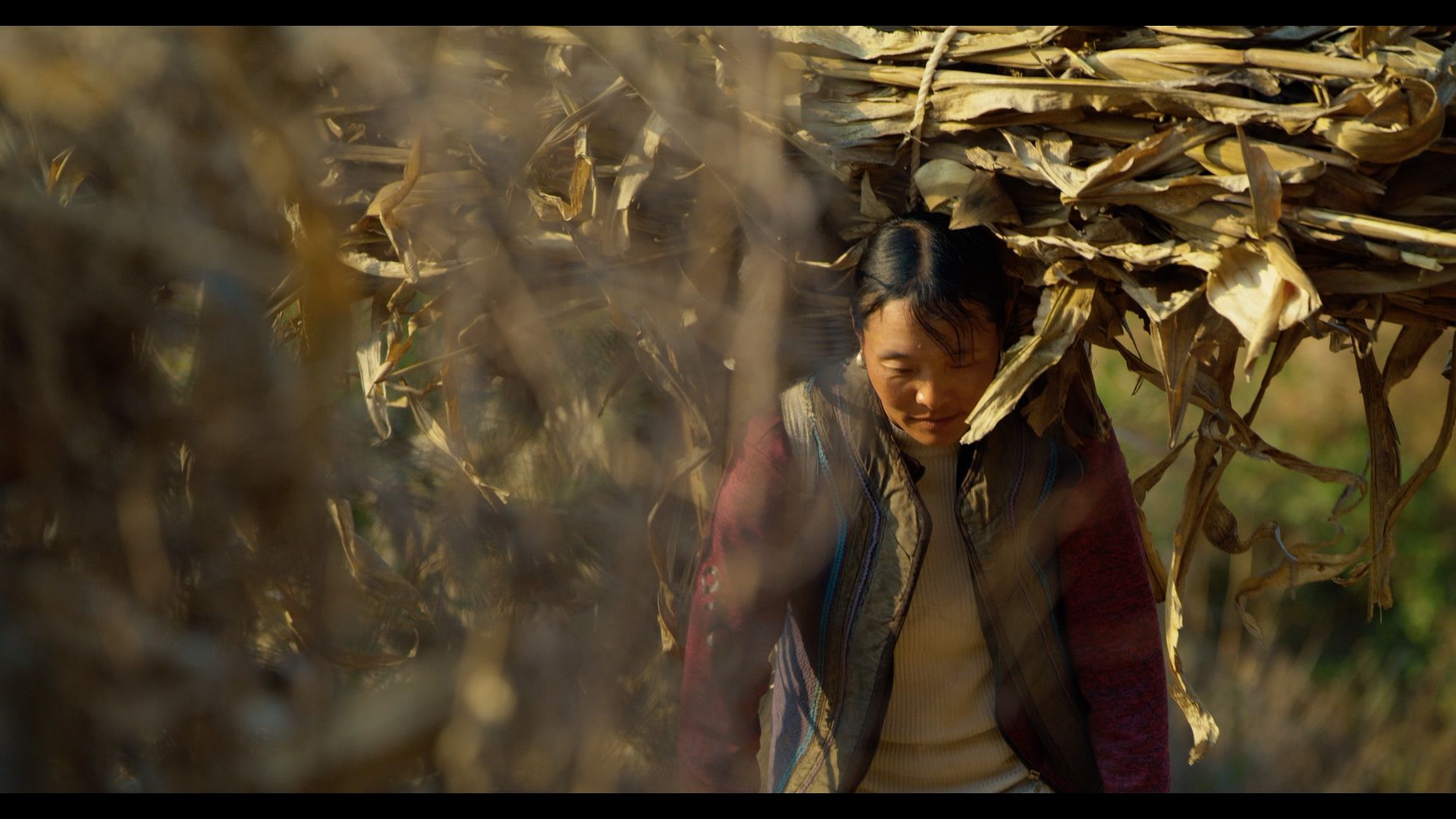 《中国减贫密码》