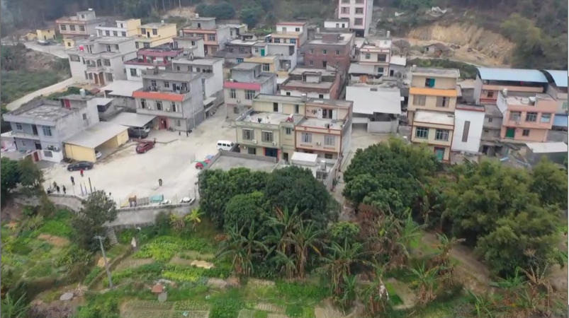 《春天的相册——爱在千山万弄间》