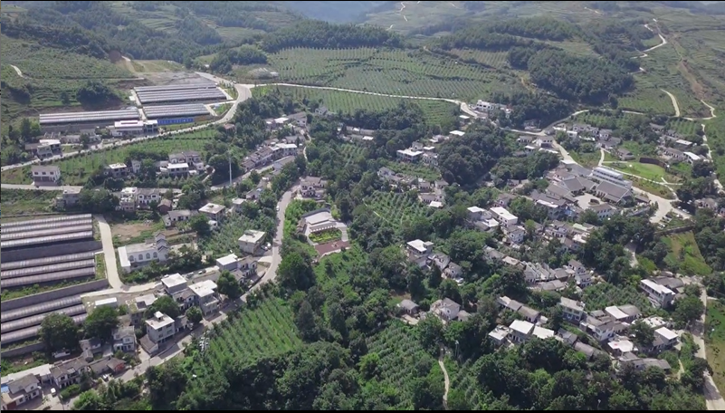 “披荆斩棘”的书记——海雀村文正友