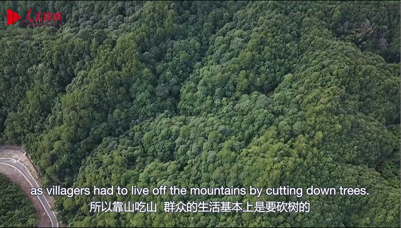 滴水穿石，久久为功：绘就绿富同兴的八闽画卷