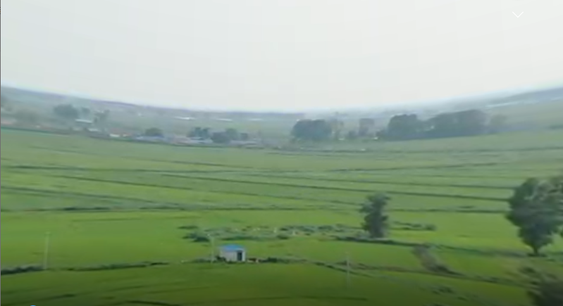 “大道康庄”吉林篇：农业金扁担 挑起绿水青山