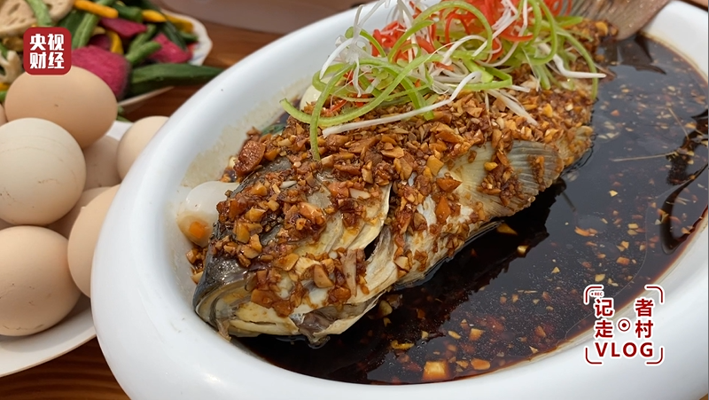 《#黄河滩区老村变鱼塘#，全村增收上百万！红烧鱼、糖醋鱼…央视小姐姐带你打卡黄河鲤鱼的N种吃法！》