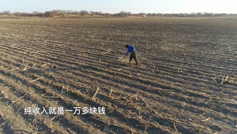 《李阿乐坦嘎日迪的脱贫战》