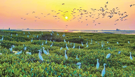 “沿着高速看中国”采访团走进广西