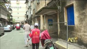 杨德凤：奉献小小之力  装扮城市之美