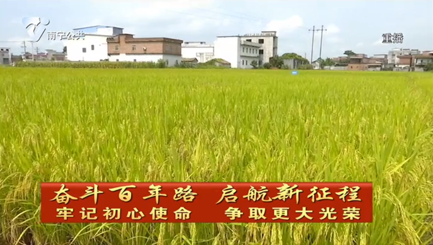 用好“加减法”提质增效   做优现代特色农业