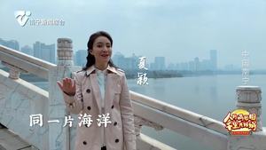 歌曲《命运与共》