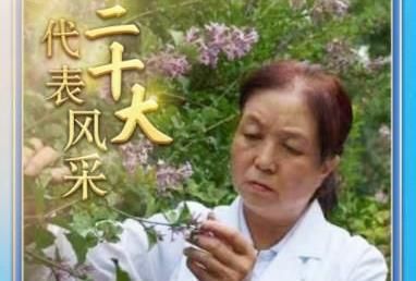 二十大代表风采 | 张锦梅：扎根高原三十载 只为满城花香来