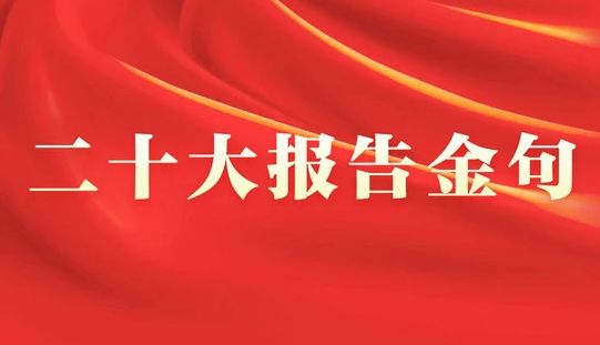 二十大报告金句